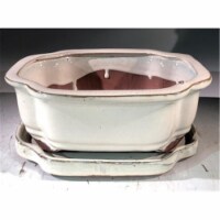 Bonsai Boy L376 8 x 6 x 3 in. Ceramic Bonsai Pot, Beige - Rectangle