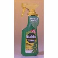 Bonsai Boy b1141  8 oz Miracle Grow Leaf Shine