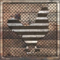 Smart Blonde  6 in. Corrugated Chicken On Wood Novelty Mini Metal Square Sign