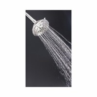 Danze Shower Head,Trumpet,2.0 gpm D460035