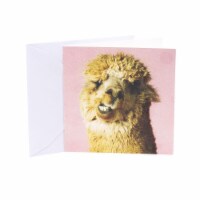 Hallmark  Studio Ink Birthday Card - Alpaca Perspective: Main