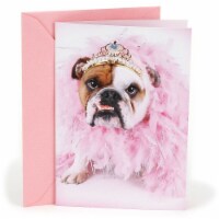 Hallmark  Shoebox Funny Birthday Card - Bulldog in Tiara Perspective: Main