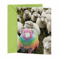 Hallmark  Shoebox Funny Birthday Card - Rainbow Sheep Perspective: Main