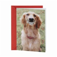 Valentine's Day Card #40: Hallmark Shoebox Funny Smiling Dog Perspective: Main