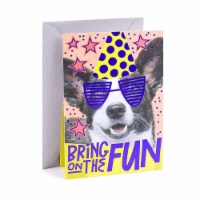 Hallmark  Pop Up Birthday Card (Birthday Dog) Perspective: Main