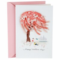 Mother's Day Card #36: Hallmark Signature Mother's Day Love Card (For All You Do for Our Family) Perspective: Main