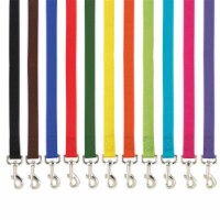 Casual Canine ZM2392 44 31 4 ft. x 0.62 in. Basic Nylon Dog Leash Lead, Brown