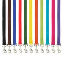 Casual Canine ZM2392 44 69 4 ft. x 0.62 in. Basic Nylon Dog Leash Lead, Orange