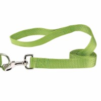 Casual Canine ZM2392 64 70 6 ft. x 0.62 in. Nylon Dog Leash Lead, Light Green