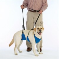 Pet Pals ZW477 14 19 Guardian Gear Lift & Lead 4-In-1 Sm Blue