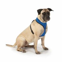 Casual Canine ZA888 24 75 Casual Canine Mesh Harness Xlg
