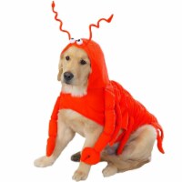 Casual Canine Lobster Paws Dog Costume, Medium (fits lengths up to 16 ), Red-Orange