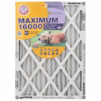 Arm & Hammer™ Max Odor Filter Perspective: Main