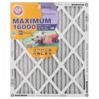 Arm and Hammer™ Maximum 16000 Filter Perspective: Main