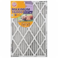 Arm and Hammer™ Maximum 16000™ Allergen Air Filter Perspective: Main