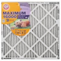 Arm and Hammer Maximum 16000 Allergen Furnace Filter