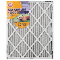 Arm and Hammer Maximum 16000 Allergen Furnace Filter