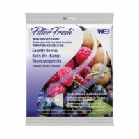 WEB Filter Fresh® Country Berries Air Filter Freshener