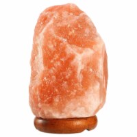 Salt Lamp Crystal Rock Salt Lamp with Dimmer Switch Hand Carved Table Lamps Night Light with