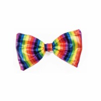 Forum Novelties Costumes  Halloween Rainbow Bow Tie