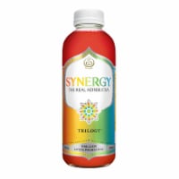 GT's Synergy® Organic Trilogy® Raw Kombucha Perspective: Main