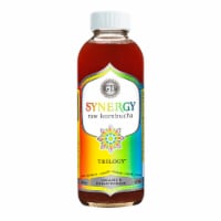 GT's Synergy® Living Foods Organic Trilogy Kombucha