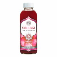 GT Synergy® Organic Hibiscus Giner Raw Kombucha Perspective: Main