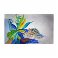 Betsy Drake DM1071G 30 x 50 in. Turtle & Lily Door Mat - Large