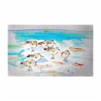 Betsy Drake DM1089G 30 x 50 in. Seven Sanderlings Door Mat - Large