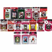 C&I Collectables ARIZCARD1619TS NFL Arizona Cardinals 16 Different Licensed Trading Card Team
