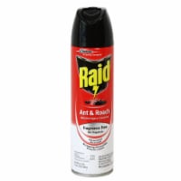 Raid Ant & Roach Spray, 17.5 oz (Pack of 2)