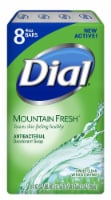 Dial Antibacterial Deodorant Bar Soap, Mountain Fresh (Pack of 24) Perspective: Main