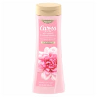 Caress Body Wash - Daily Silk - (Pack of 12)