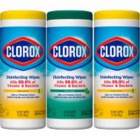 Clorox Disinfecting Wipes Value Pack (Pack of 10)