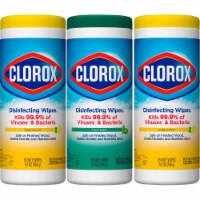 Clorox Disinfecting Wipes Value Pack (Pack of 14)