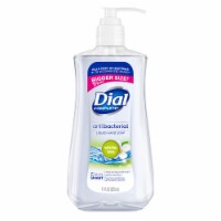 Dial Complete Antibacterial Liquid Hand Soap White Tea 11 Fl Oz (Pack of 3)