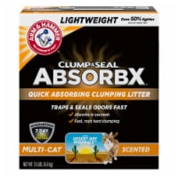 Arm & Hammer Clump & Seal AbsorbX Scented MultiCat Clumping Litter, 8.5 Lbs. (Pack of 6)