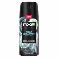 Fragrance Collection Premium Deodorant Body Spray for Men Aqua Bergamot (Pack of 10) Perspective: Main