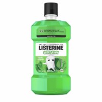 Listerine Smart Rinse Kids Anticavity Mouthwash, Mint Shield - 16.9 Oz (Pack of 20)