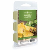 2.5 oz Wax Fragrance Melt Tart, Pineapple Cilantro (Pack of 12)