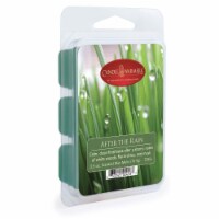 2.5 oz Wax Fragrance Melt Tart, Lemon Sugar (Pack of 48)