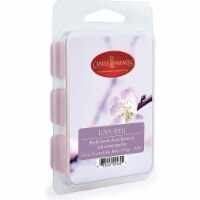 2.5 oz Wax Fragrance Melt Tart, Love Spell (Pack of 16)