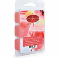 Watermelon Lemonade 2.5 oz Wax Melts (Pack of 6)