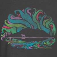 Arctic Circle Enterprises Denali Northern Lights T-Shirt - Navy Perspective: Main