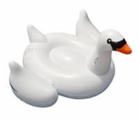 Giant Swan Ride-On Perspective: Main
