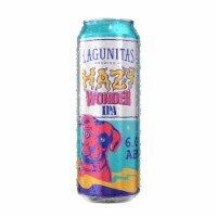 Lagunitas Hazy Wonder IPA Craft Beer Cans Perspective: Main