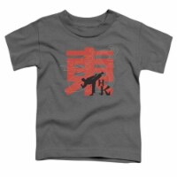 Hai Karate-Hk Kick Short Sleeve Toddler Tee&#44; Charcoal - Small 2T