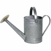 1 gal James Galvanized Watering Can