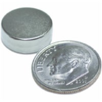 07045 0.3 x 0.11 in. Neodymium Super Magnet