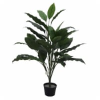 Spathiphyllum Plant X5 Everyday Tree with 40 LVS - 3 ft.
